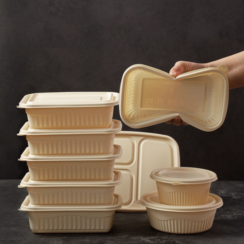 Cornstarch Lunch Box
