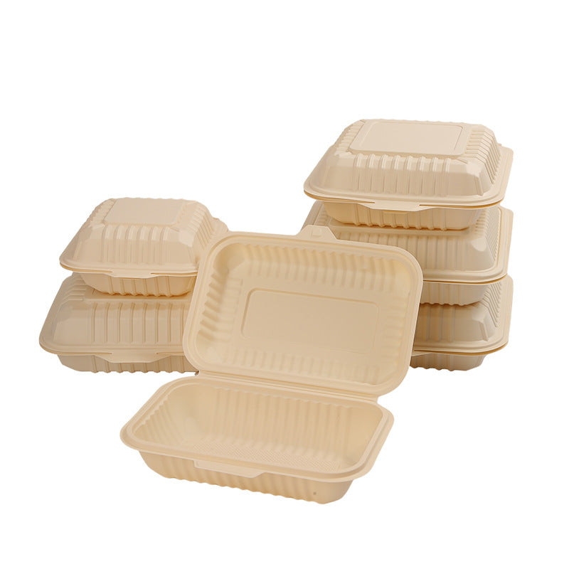 Cornstarch Lunch Box