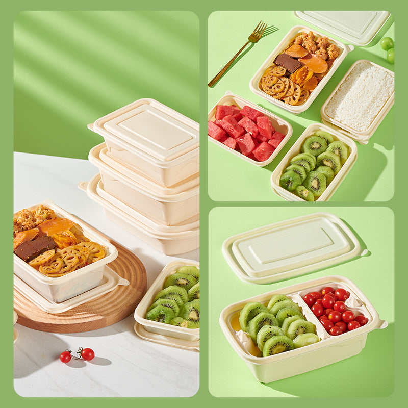 Cornstarch Lunch Box