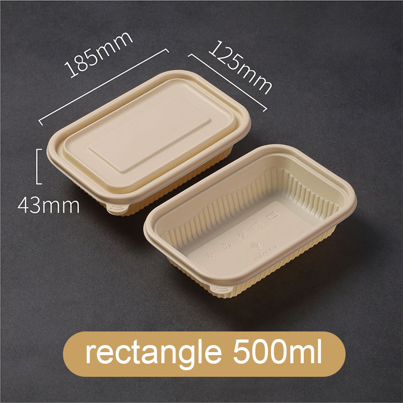 Cornstarch Lunch Box