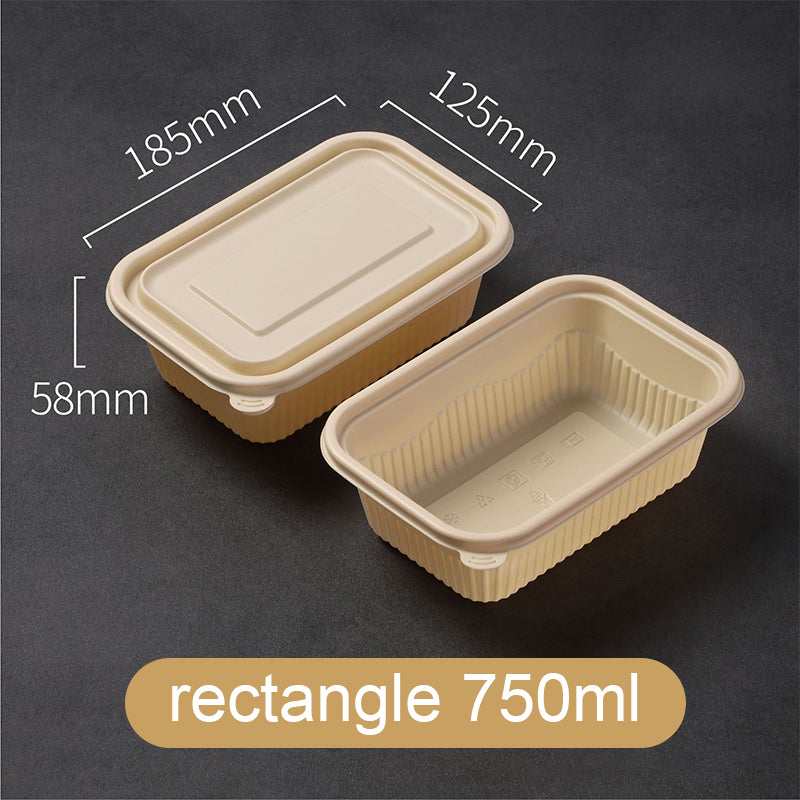 Cornstarch Lunch Box