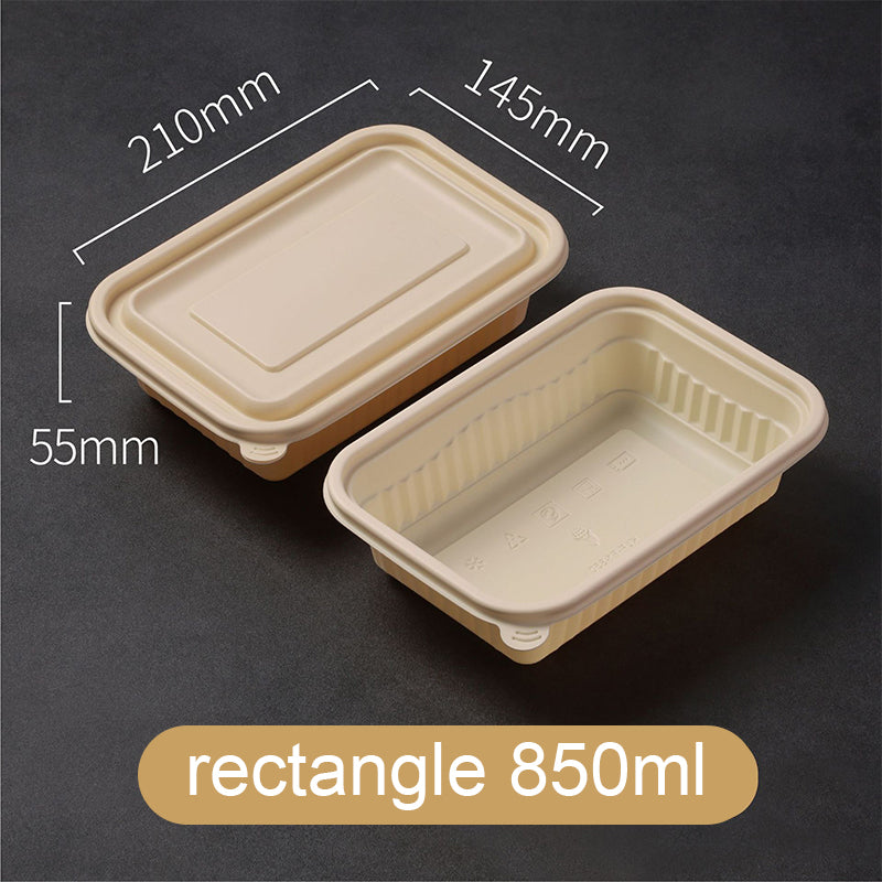 Cornstarch Lunch Box