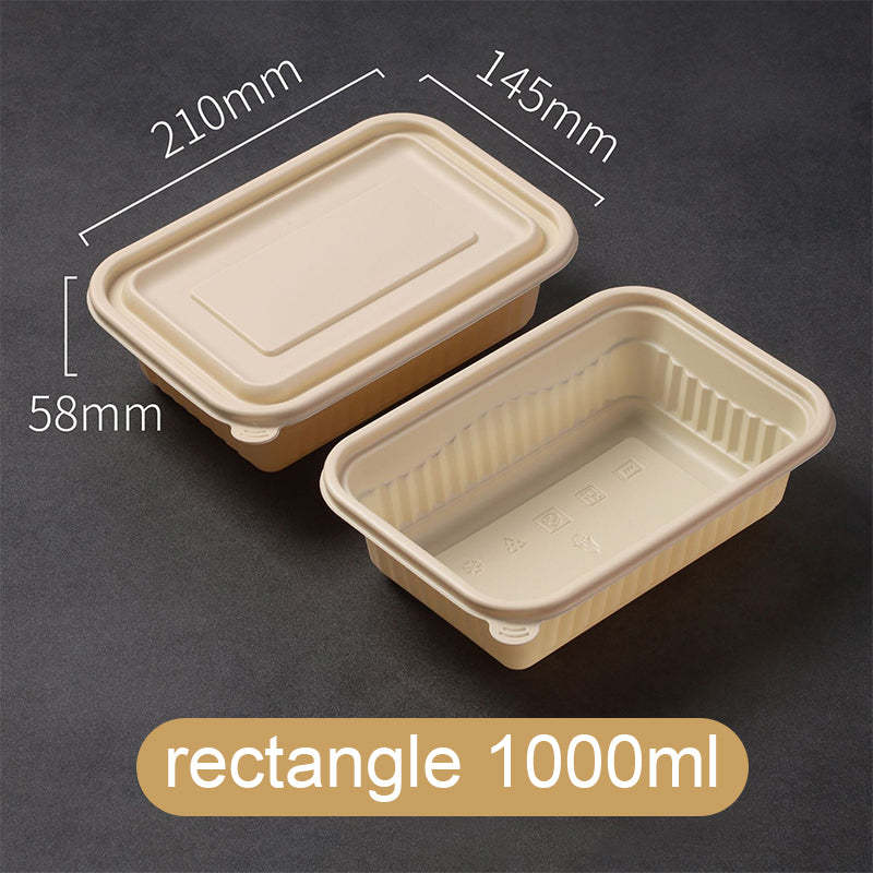 Cornstarch Lunch Box