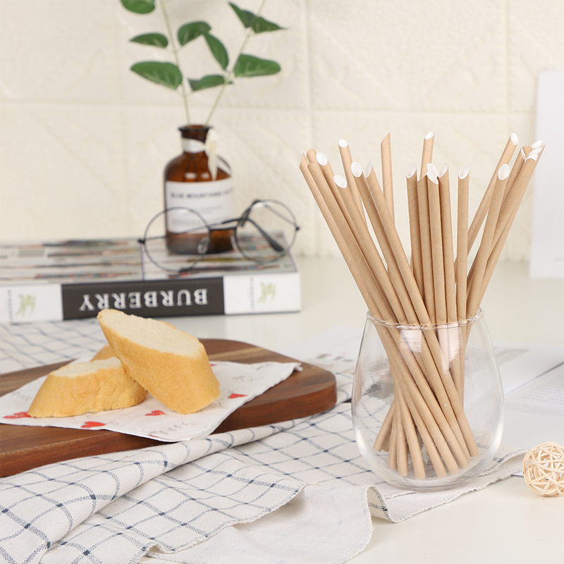 Paper Straws