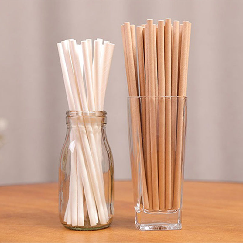 Paper Straws