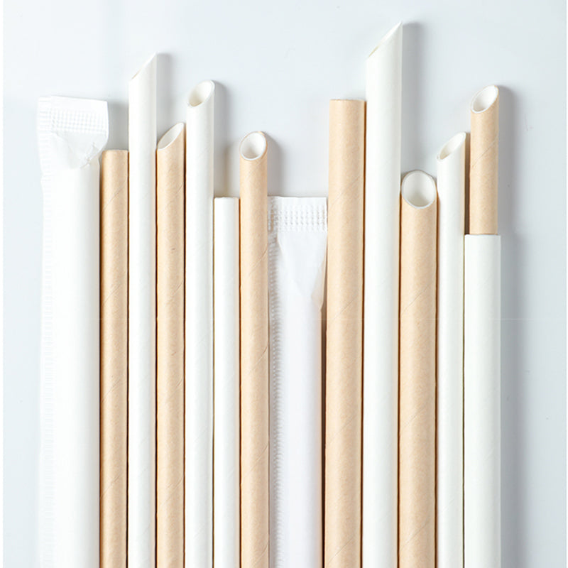 Paper Straws