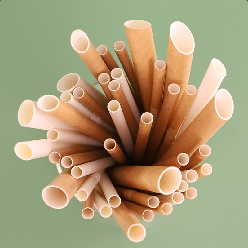 Paper Straws