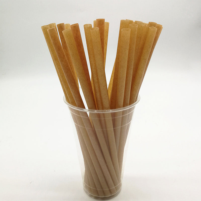 Sugarcane Straws Style 01