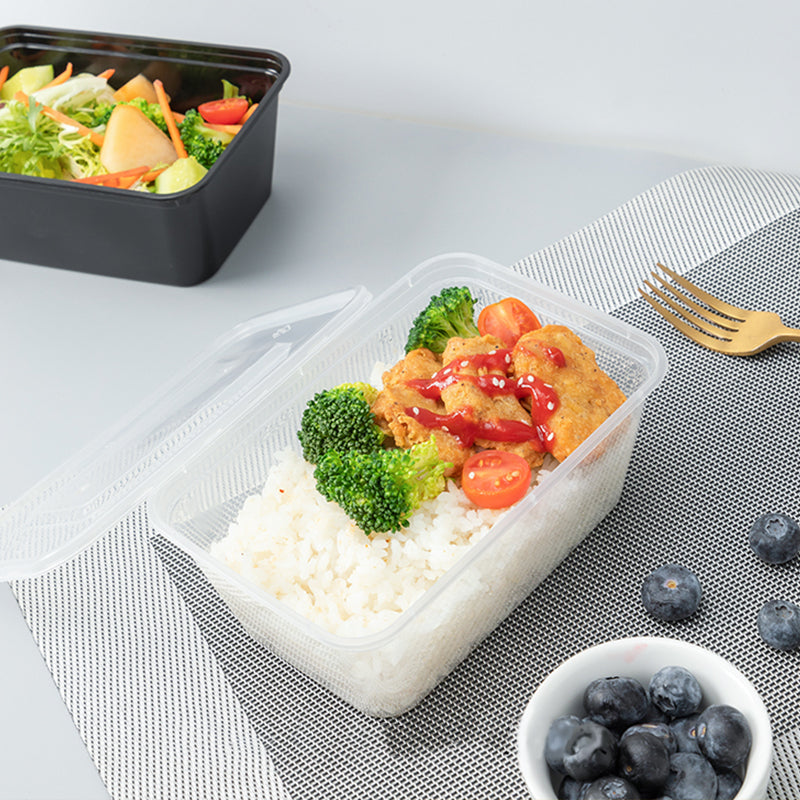 Plastic Rectangle Food Containers #MS-FC02