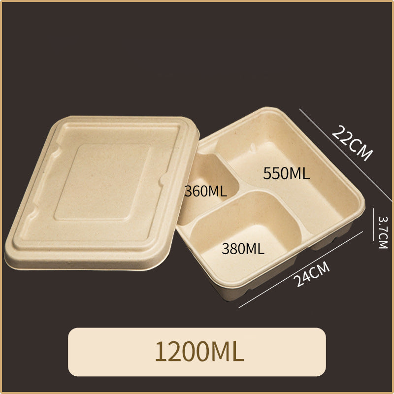 Disposable Pulp Multi-compartment Food Containers