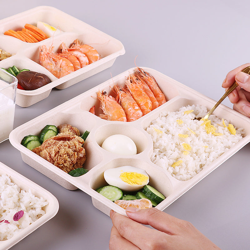 Disposable Pulp Multi-compartment Food Containers