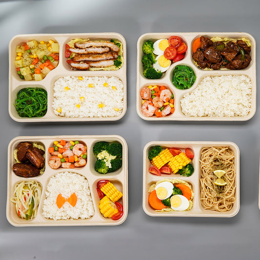 Disposable Pulp Multi-compartment Food Containers