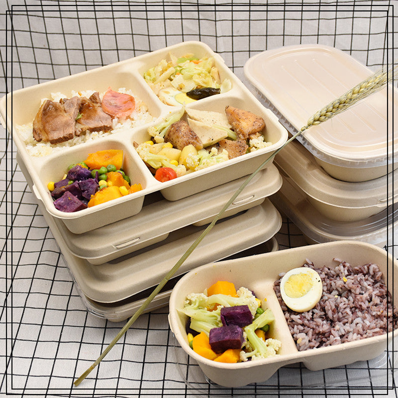 Disposable Pulp Multi-compartment Food Containers