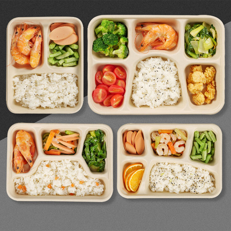 Disposable Pulp Multi-compartment Food Containers