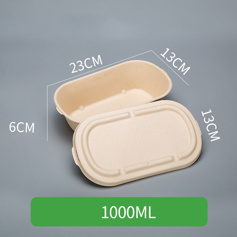 Disposable Pulp Rectangle Food Containers