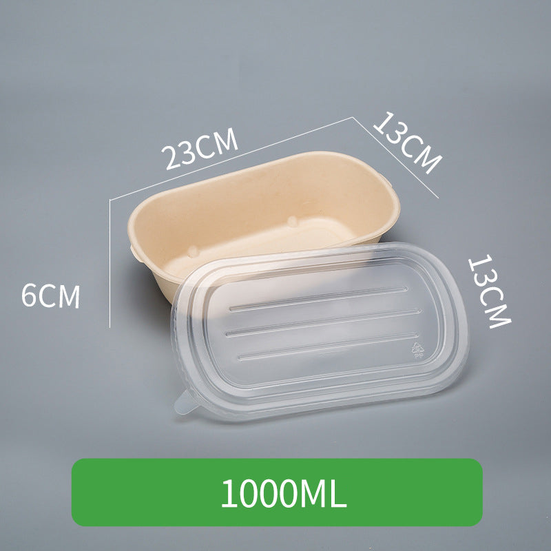 Disposable Pulp Rectangle Food Containers