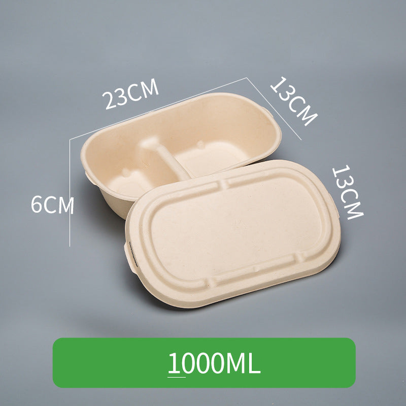 Disposable Pulp Rectangle Food Containers