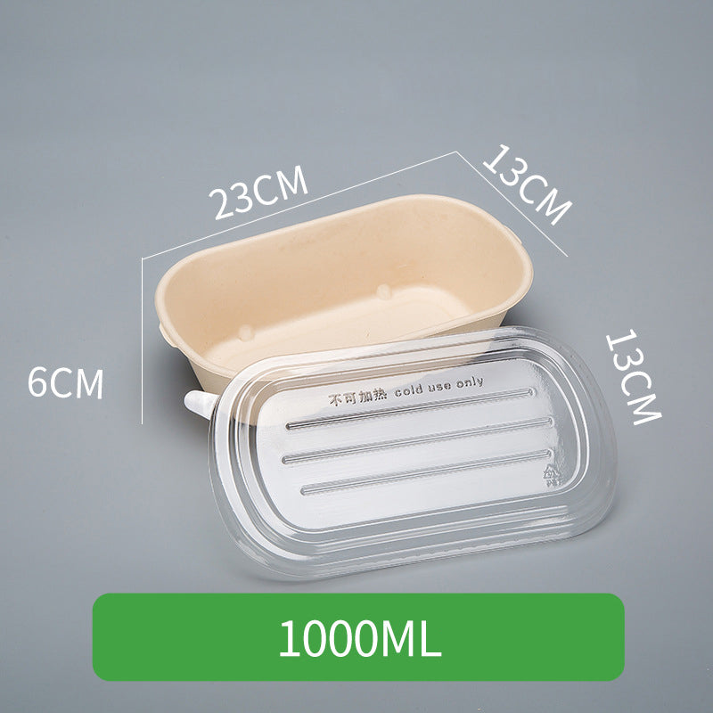 Disposable Pulp Rectangle Food Containers