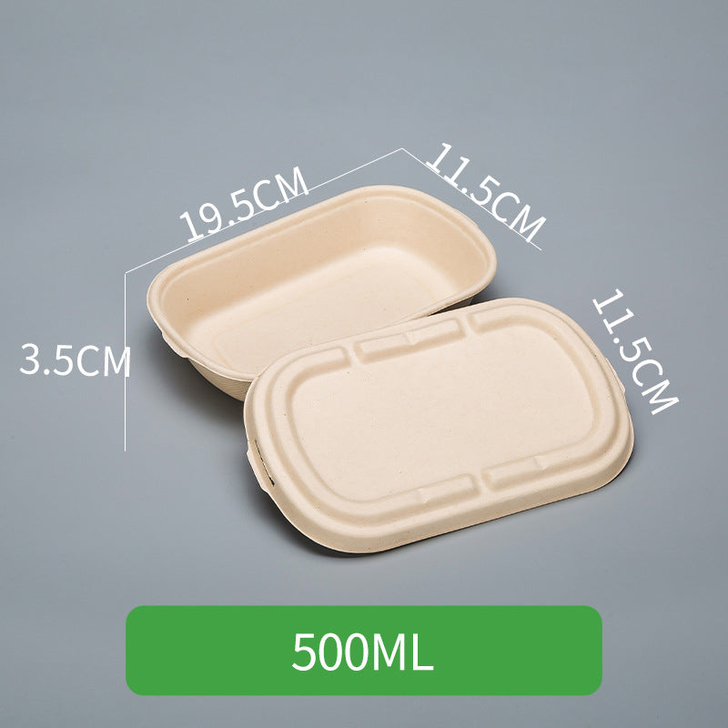 Disposable Pulp Rectangle Food Containers