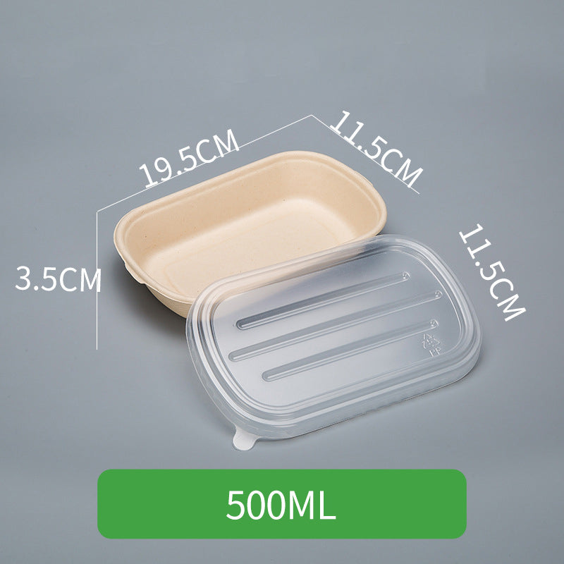 Disposable Pulp Rectangle Food Containers