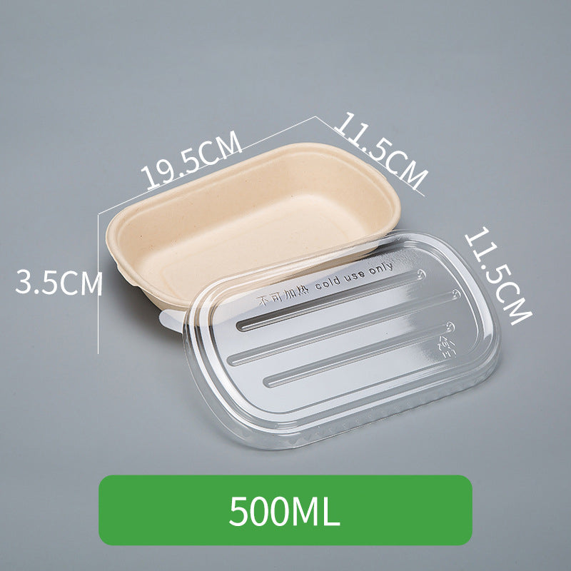 Disposable Pulp Rectangle Food Containers
