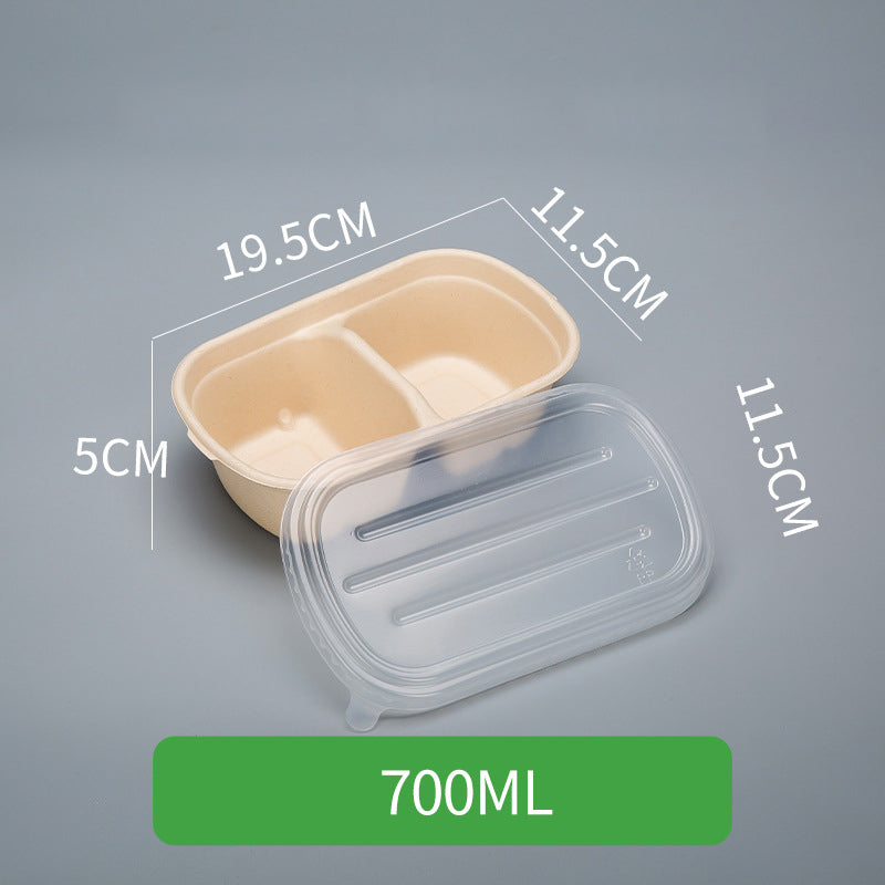 Disposable Pulp Rectangle Food Containers
