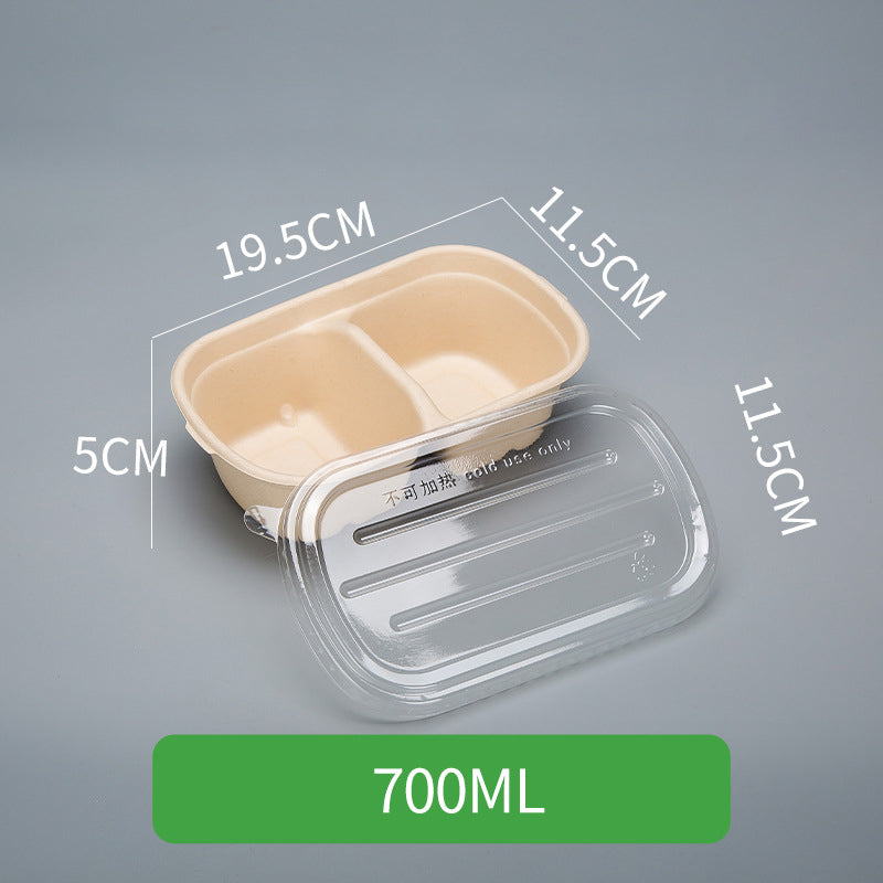 Disposable Pulp Rectangle Food Containers