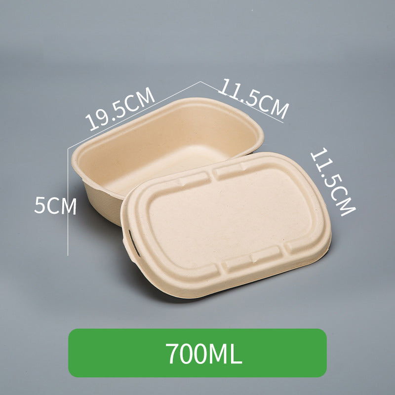 Disposable Pulp Rectangle Food Containers