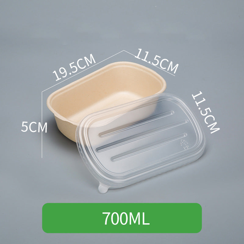 Disposable Pulp Rectangle Food Containers