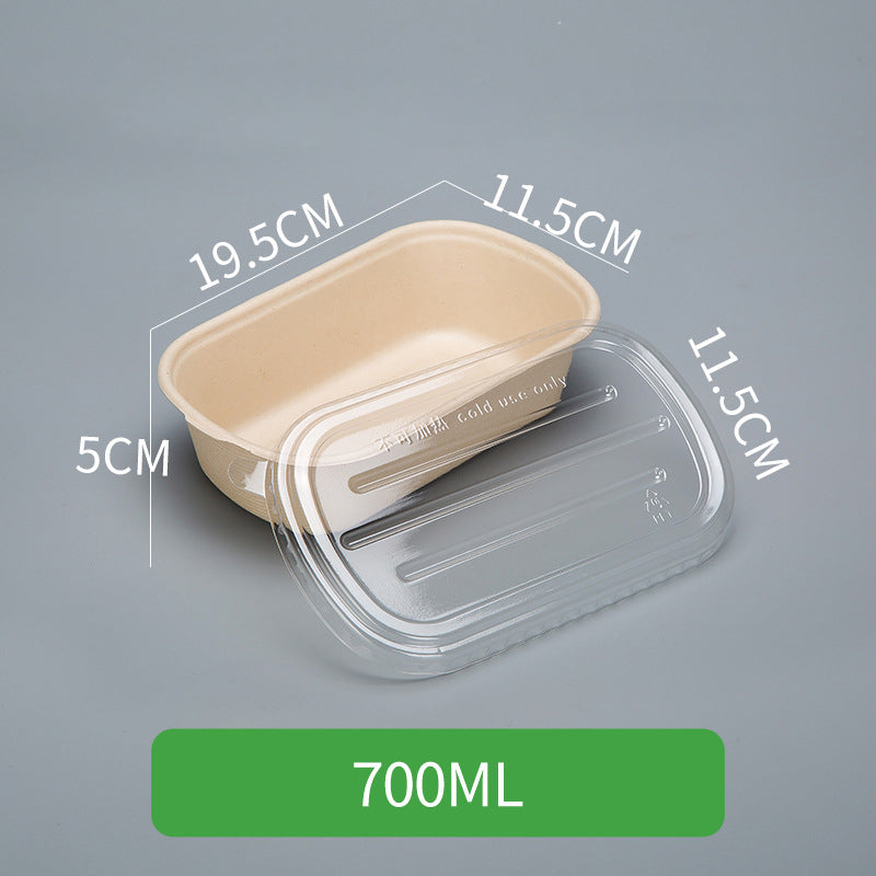 Disposable Pulp Rectangle Food Containers