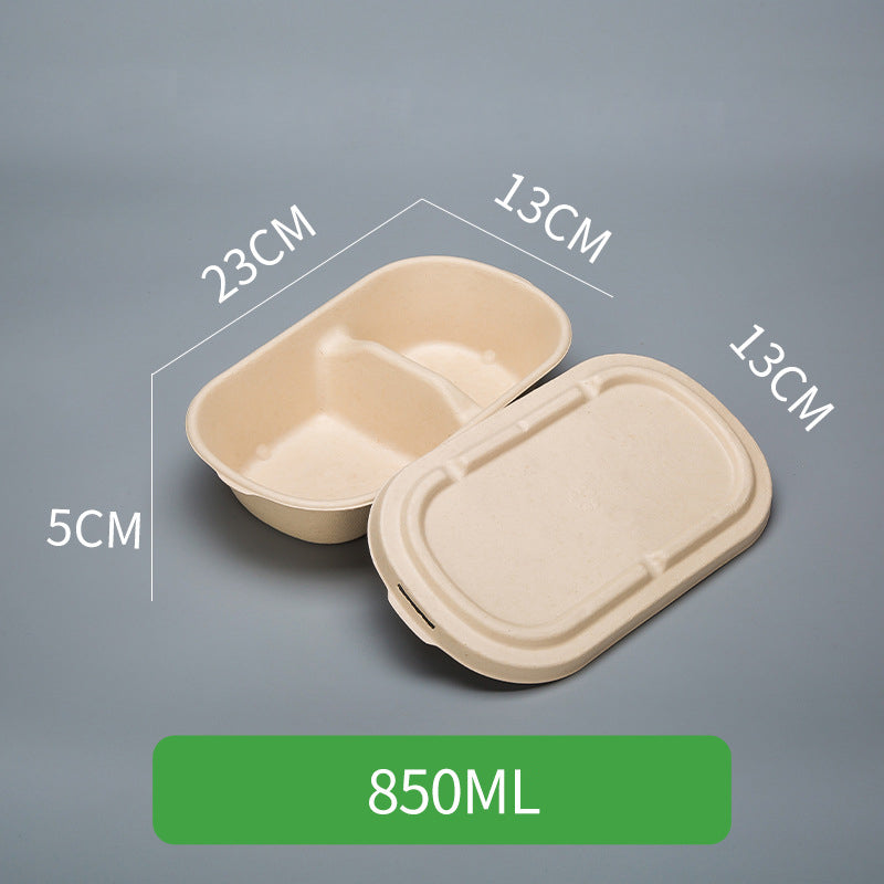 Disposable Pulp Rectangle Food Containers