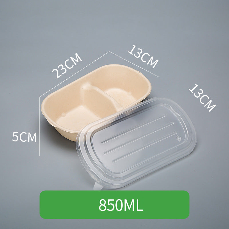 Disposable Pulp Rectangle Food Containers