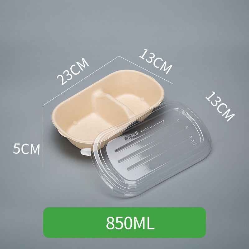 Disposable Pulp Rectangle Food Containers