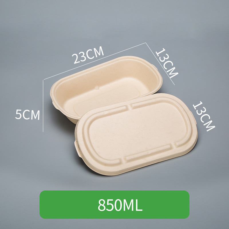Disposable Pulp Rectangle Food Containers