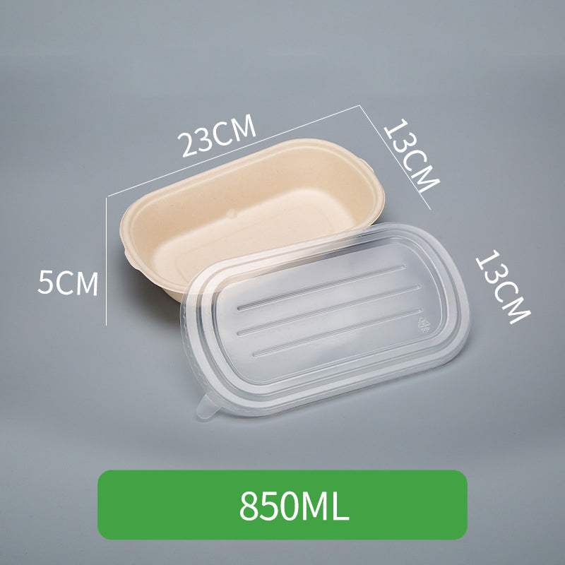 Disposable Pulp Rectangle Food Containers