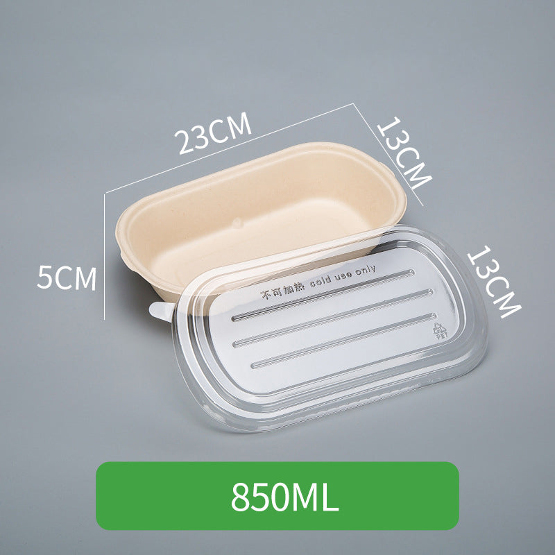 Disposable Pulp Rectangle Food Containers