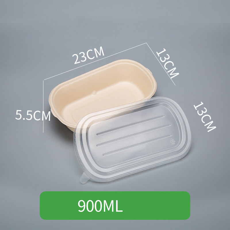 Disposable Pulp Rectangle Food Containers