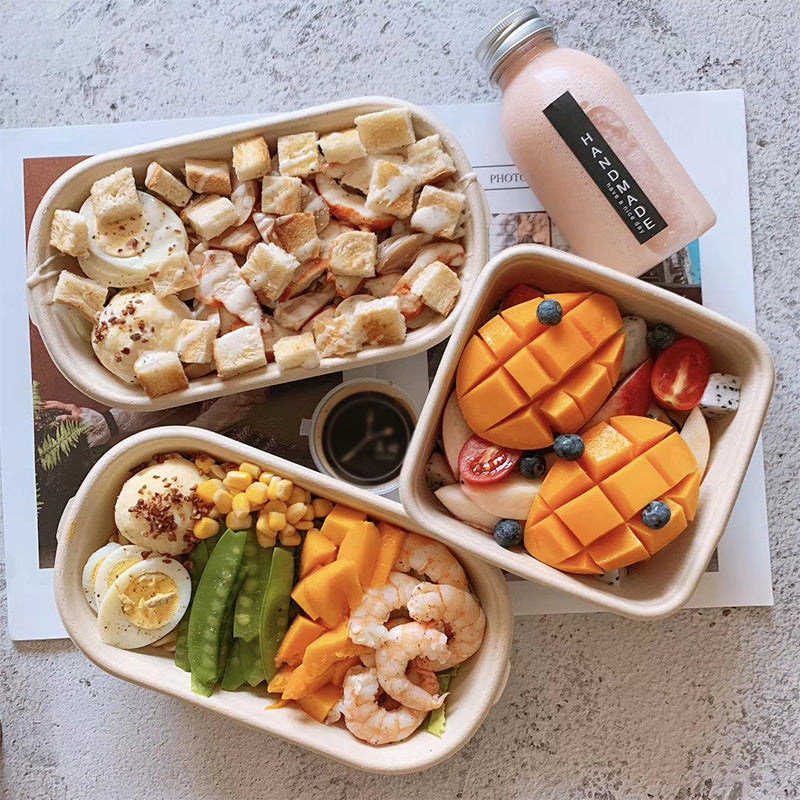 Disposable Pulp Rectangle Food Containers