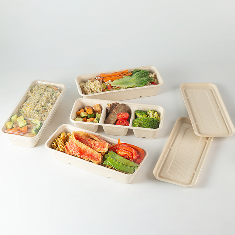 Disposable Pulp Rectangle Food Containers