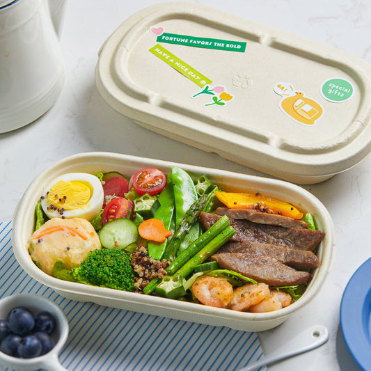 Disposable Pulp Rectangle Food Containers