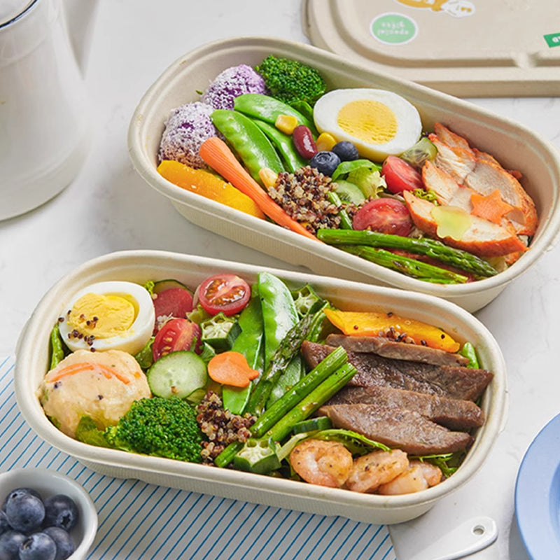 Disposable Pulp Rectangle Food Containers