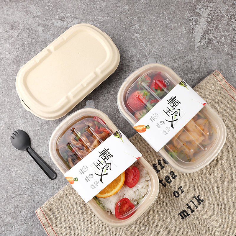 Disposable Pulp Rectangle Food Containers