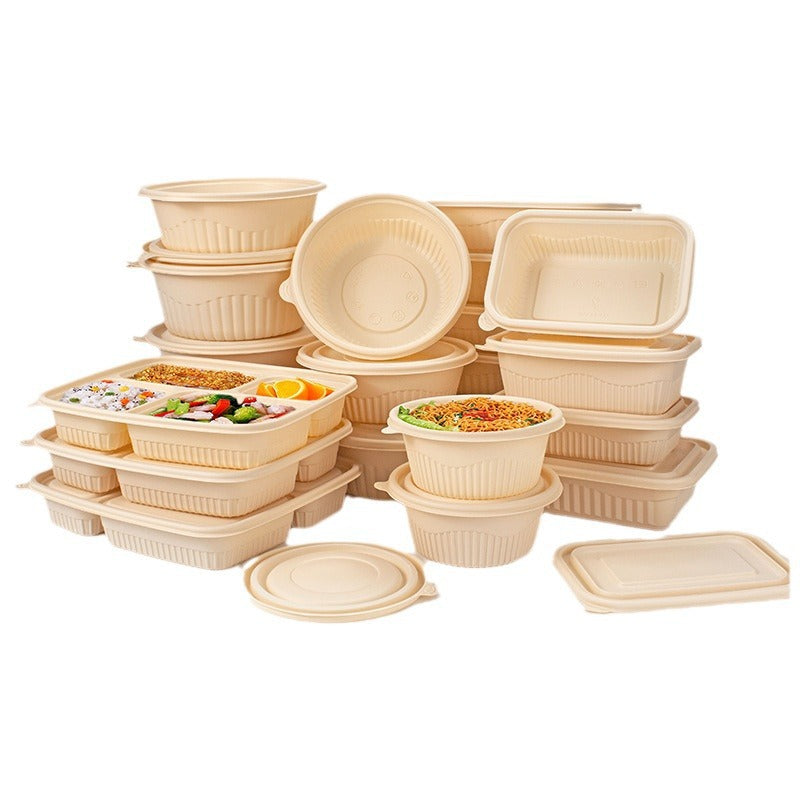Cornstarch Lunch Box