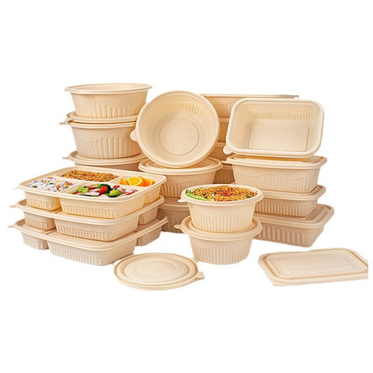 Cornstarch Lunch Box