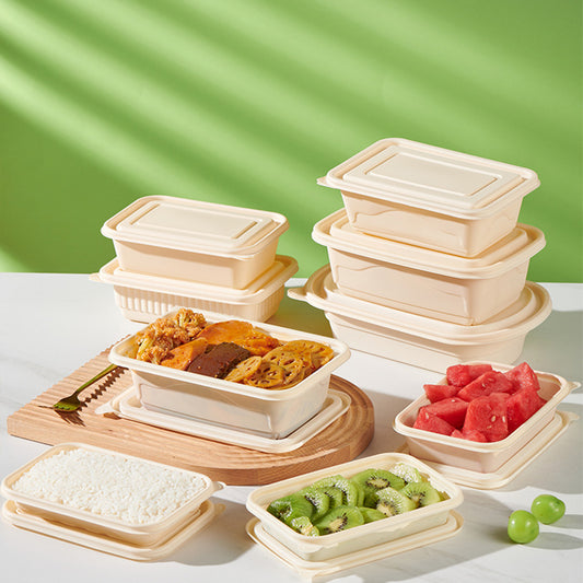 Cornstarch Lunch Box