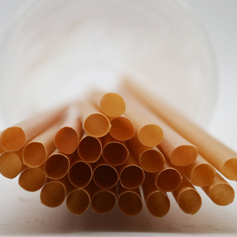 Sugarcane Straws Style 01