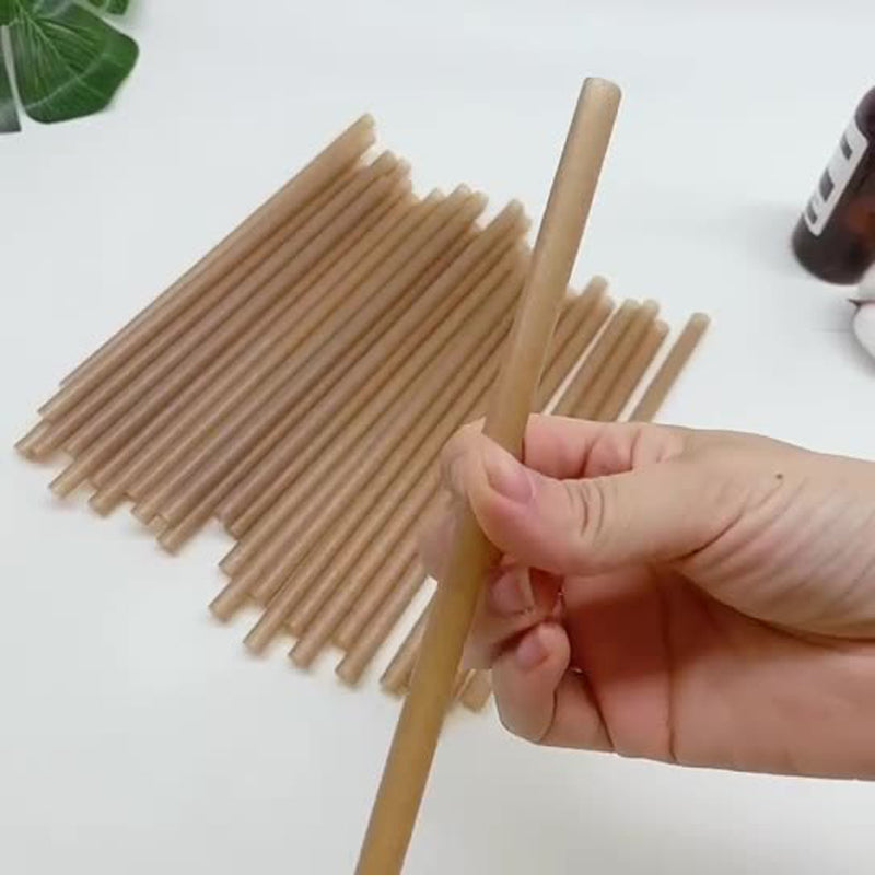 Sugarcane Straws Style 01