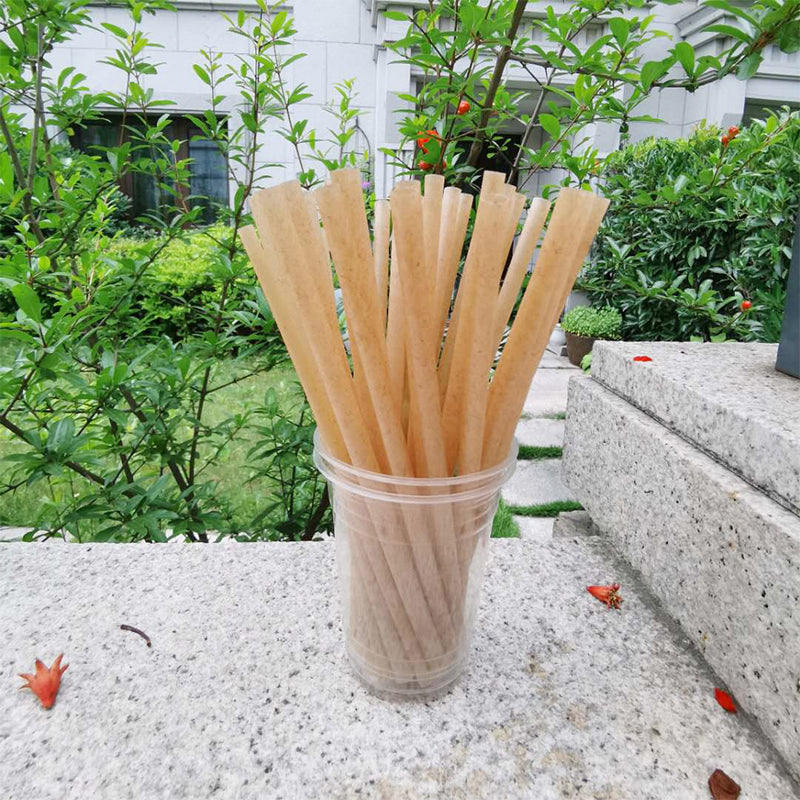 Sugarcane Straws Style 01