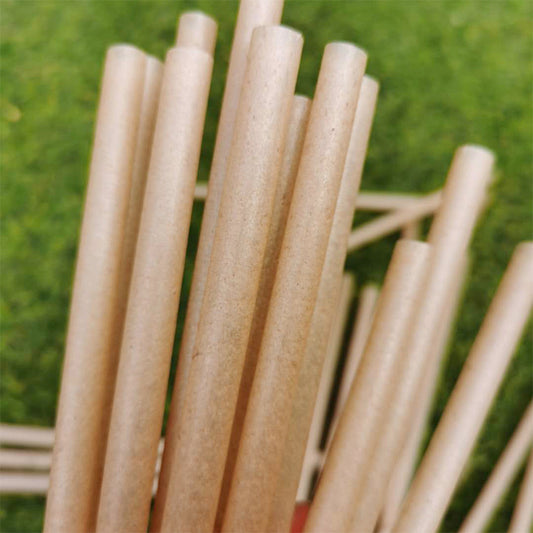 Sugarcane Straws Style 01