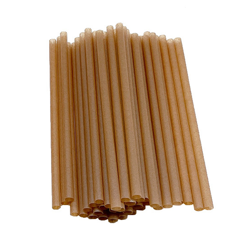 Sugarcane Straws Style 01